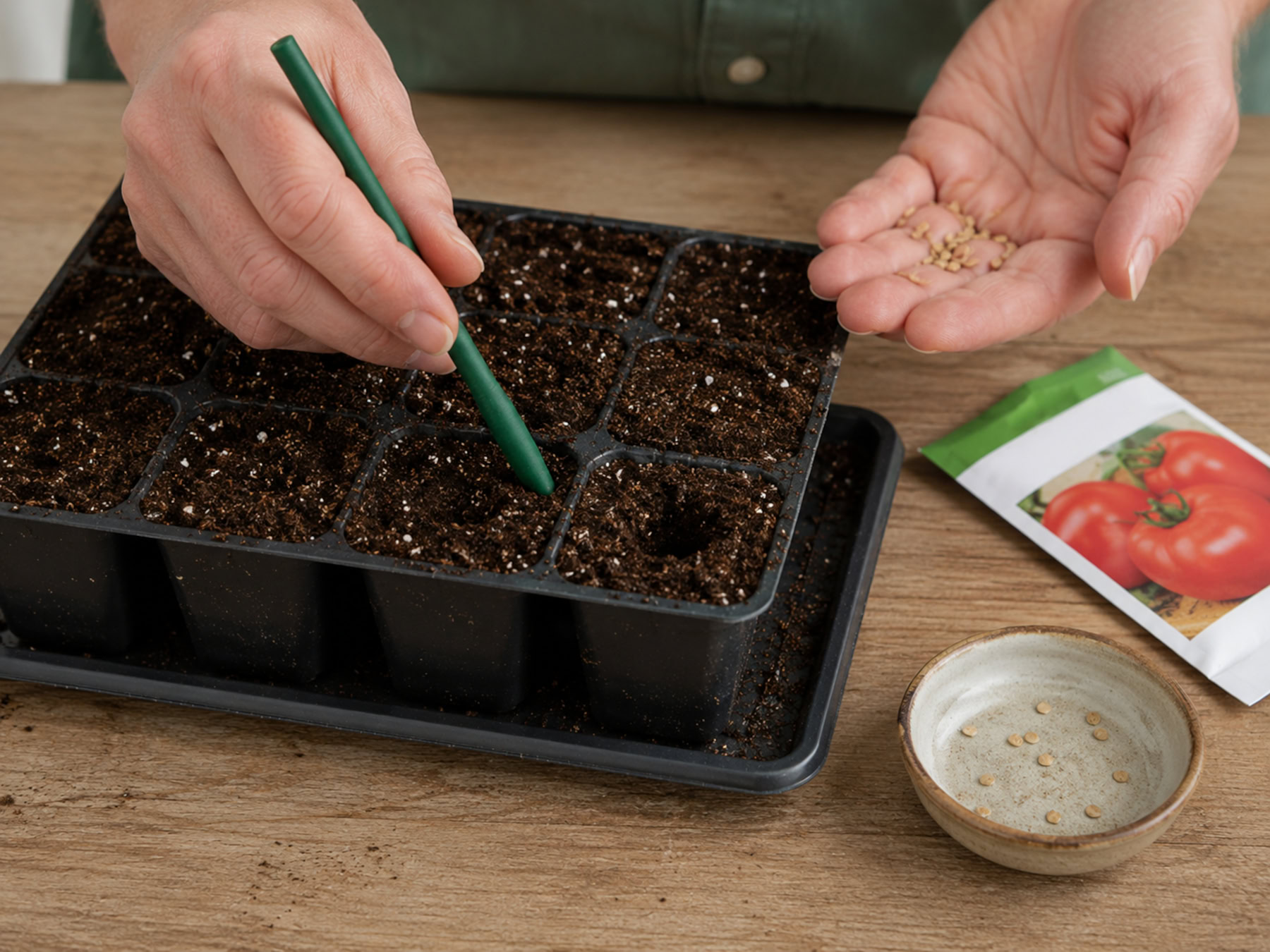 Tomato seeds being sown into small cells of seed-starting mix.